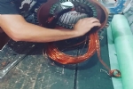 Foto 15