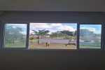 Foto 41