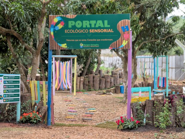 Viveiro Municipal Curupira será ponto de troca permanente de lâmpadas antigas por LED