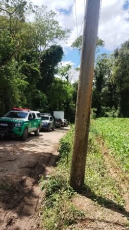 Guarda Ambiental de Cotia prende três por desmatamento no Aguassaí