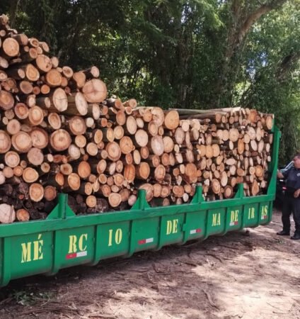 Guarda Ambiental de Cotia prende três por desmatamento no Aguassaí