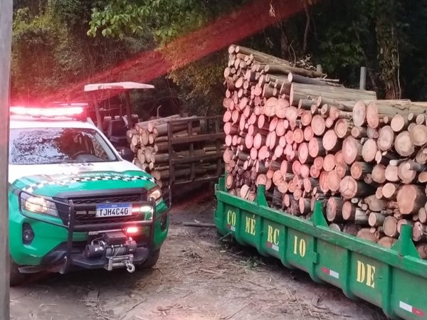Guarda Ambiental de Cotia prende três por desmatamento no Aguassaí